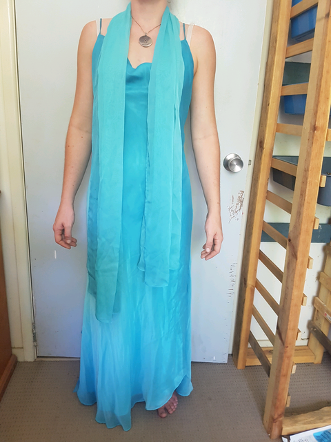 size 10 formal gown