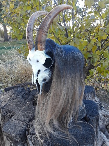 Real Goat Skull Mask Halloween Costume Horror Haunt Latex Devil Demon Satan