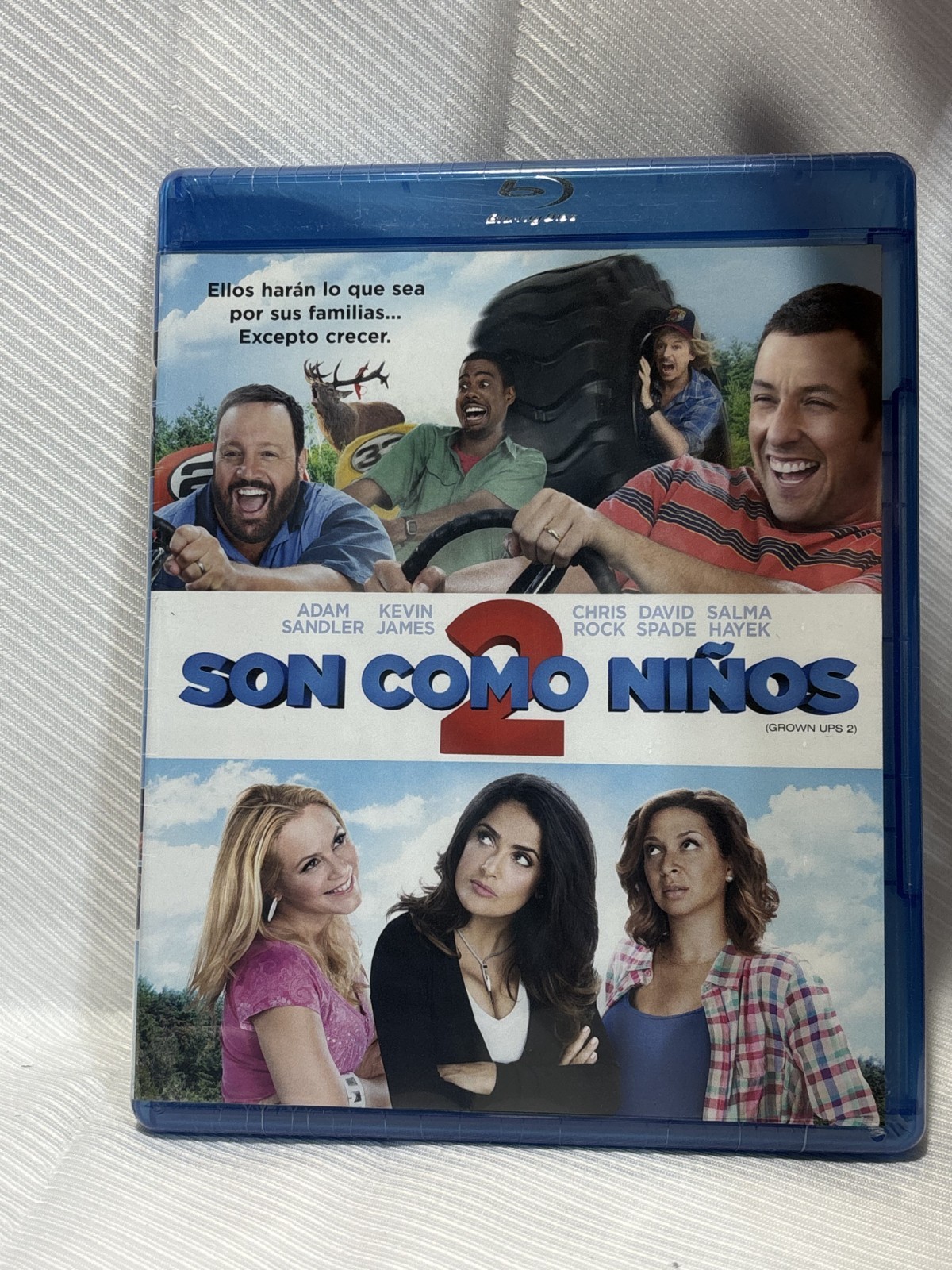 Grown Ups 2 (Blu-ray, 2013) (Spanish/English) (BUY 5 DVD, GET 4 FREE)