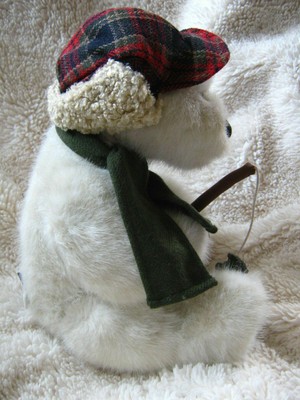 Boyds Bears Plush Fisher Bear of the Month January 2007 Fairbanks 919880 Rare LE