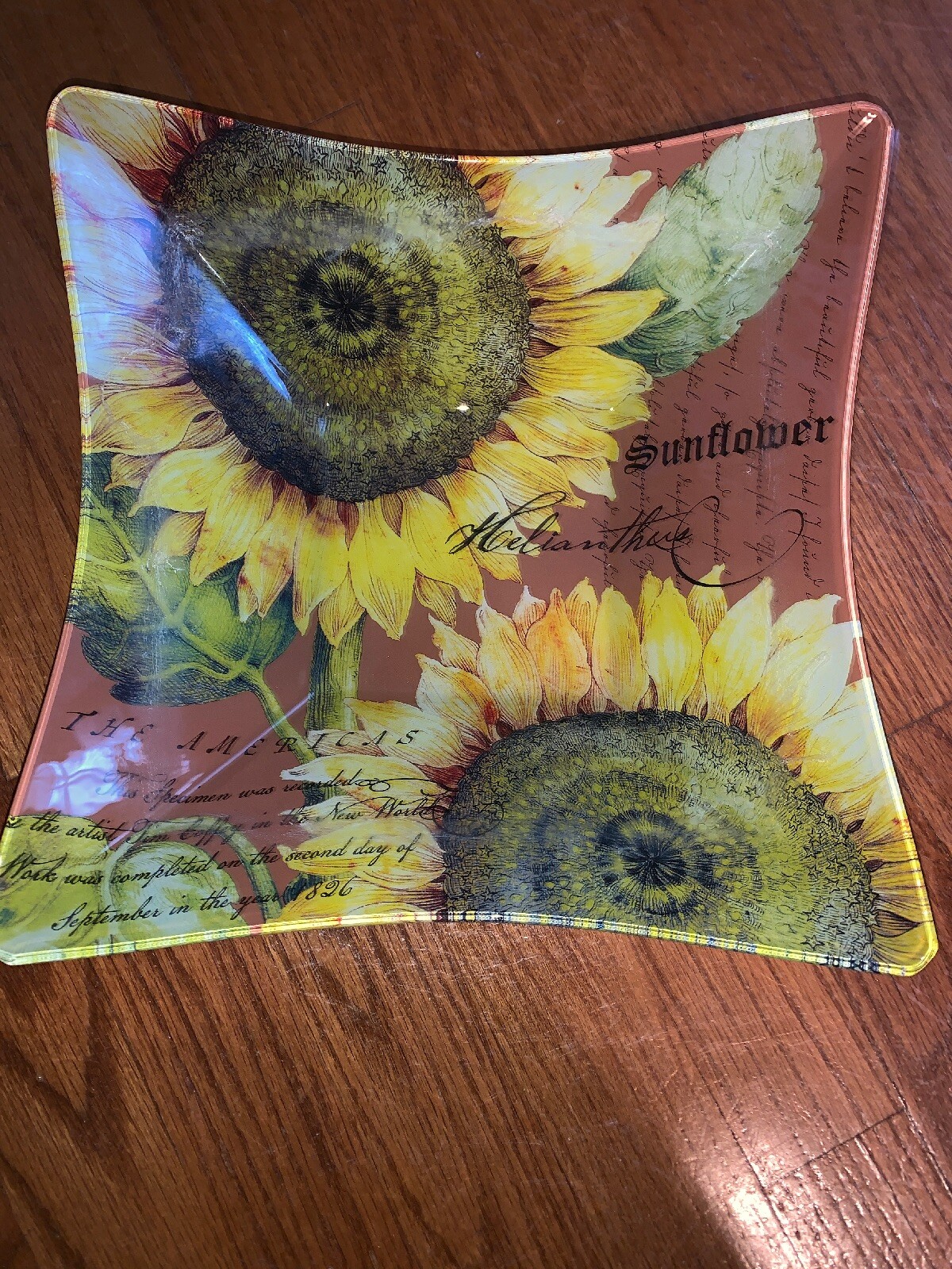 Elegant Beautiful Glass SUNFLOWER Glaze Dip Square Bowl 10.5 X 10.5 X 3” Deep