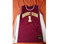 tracy mcgrady mt zion jersey