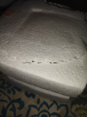 Item photo(s) from verified buyer