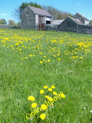 Photo 6x4 Farm buildings and dandelions north of Flag Dale Blackwell/SK1 c2013