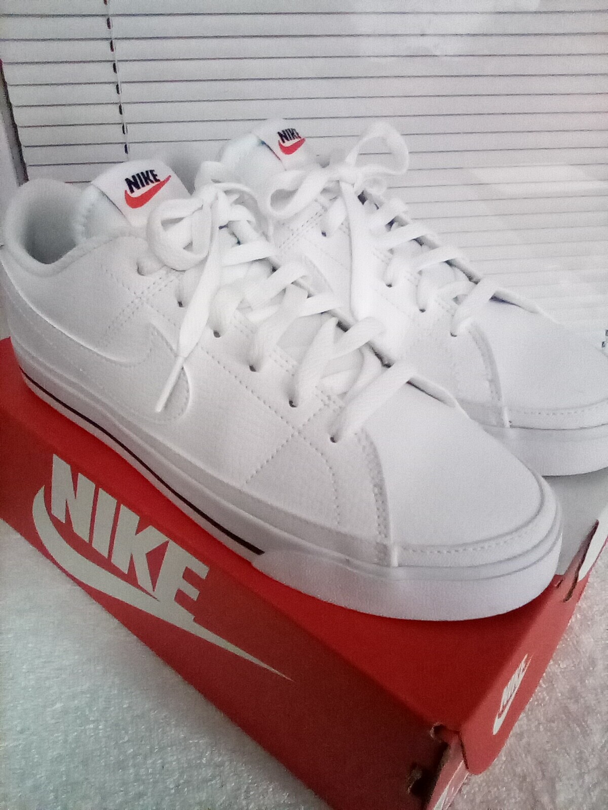 靴 NIKE COURT LEGACY CANVAS 22cm Women's Nike Court Legacy Canvas Sneakers | Shoe Station
