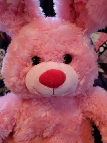 Htf | Build A Bear Workshop Cherry Blossom Bunny