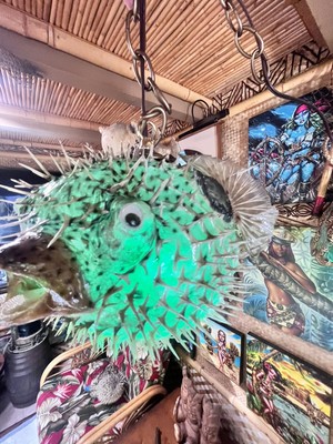 NEW 13  Puffer Fish Lamp w/green LED Tiki bar Smokin Tikis SECOND #2