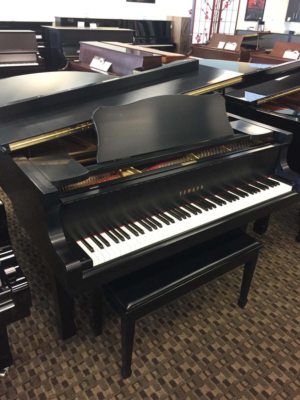 Yamaha C5 Grand Piano Satin Ebony