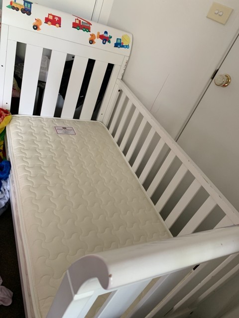 cots for sale gumtree