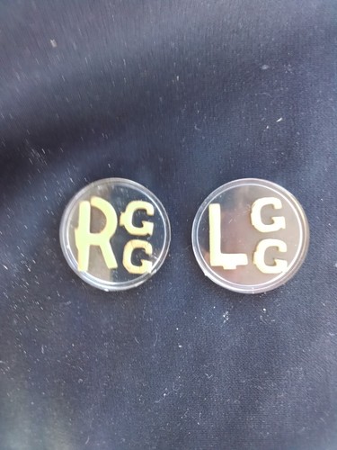 With Initials (gg)