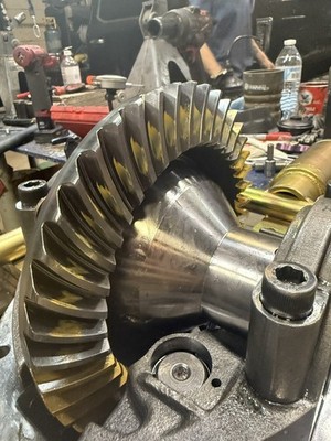 Fotos del artículo de un comprador verificado