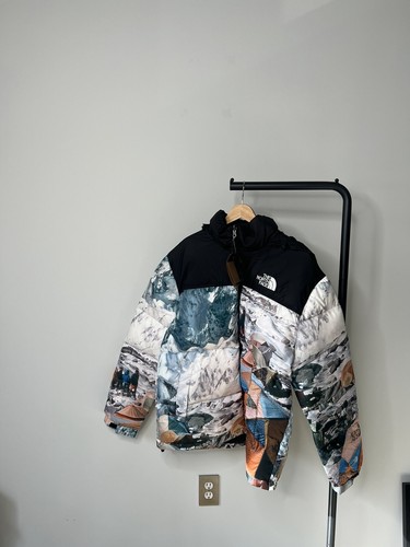 Pre-owned The North Face X Invincible The Expedition Series Nuptse Jacket Asia Xl In Gray