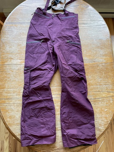 Patagonia Men's Goretex Proshell Powslayer Bibs Snowboard