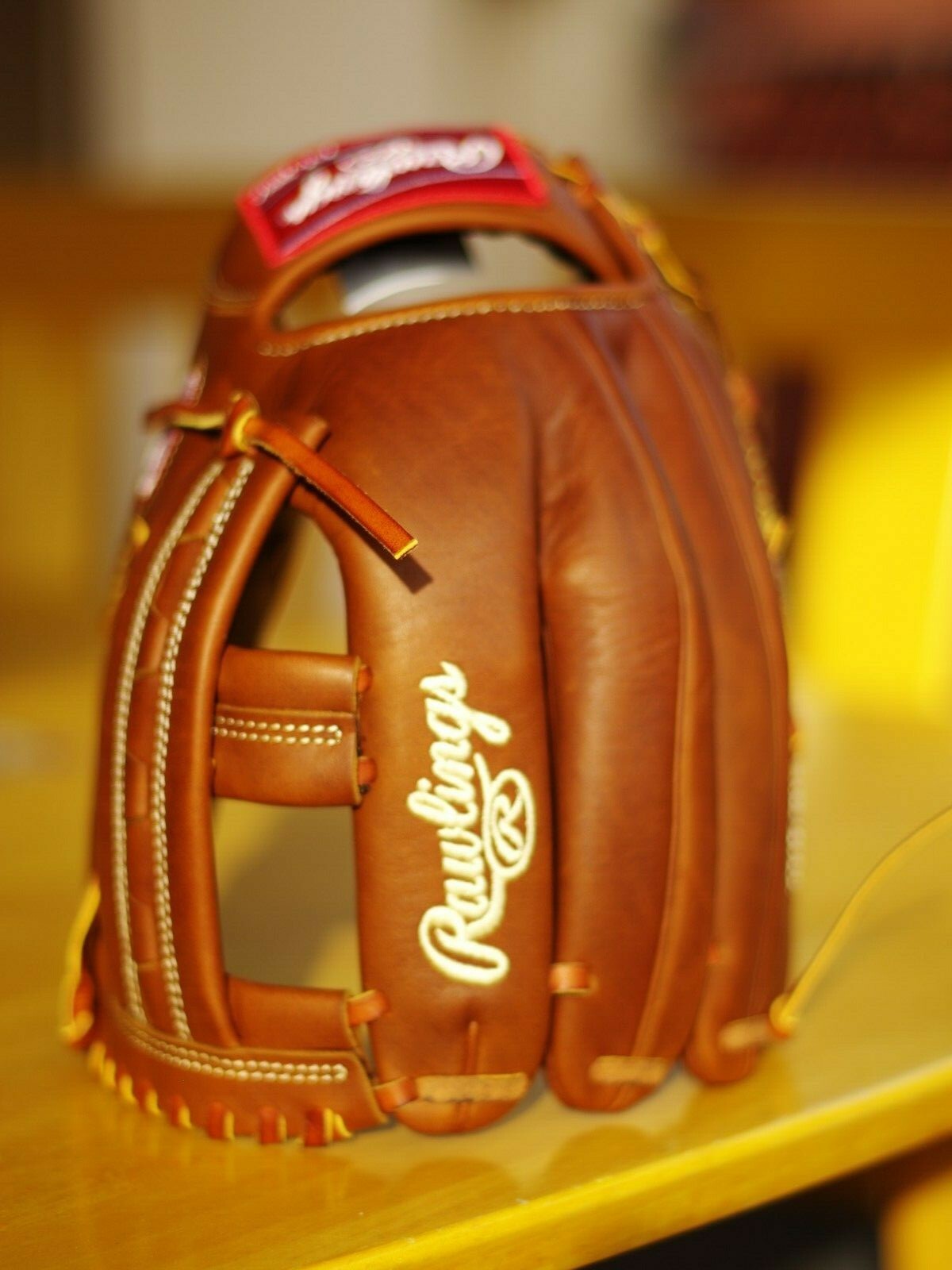 single post web glove