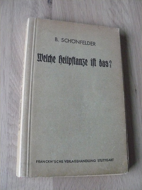Welche Heilpflanze Ist Das Schonfelder 1941