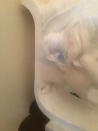 Foto dell'oggetto di un acquirente verificato