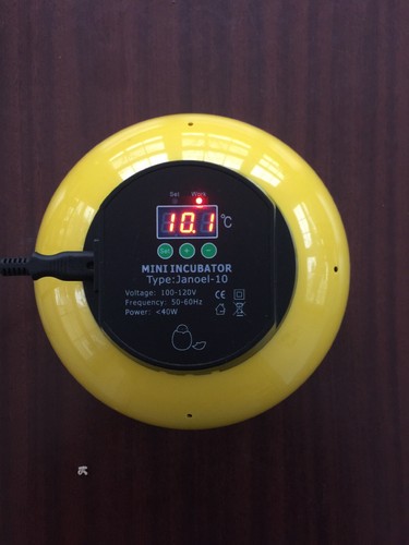 10 Chicken Eggs Portable Mini Incubator LED Digital Incubator Poultry Hatcher