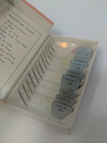 VINTAGE SEARS PREPARED SLIDES BOX Anotomical Tissue of Frog.