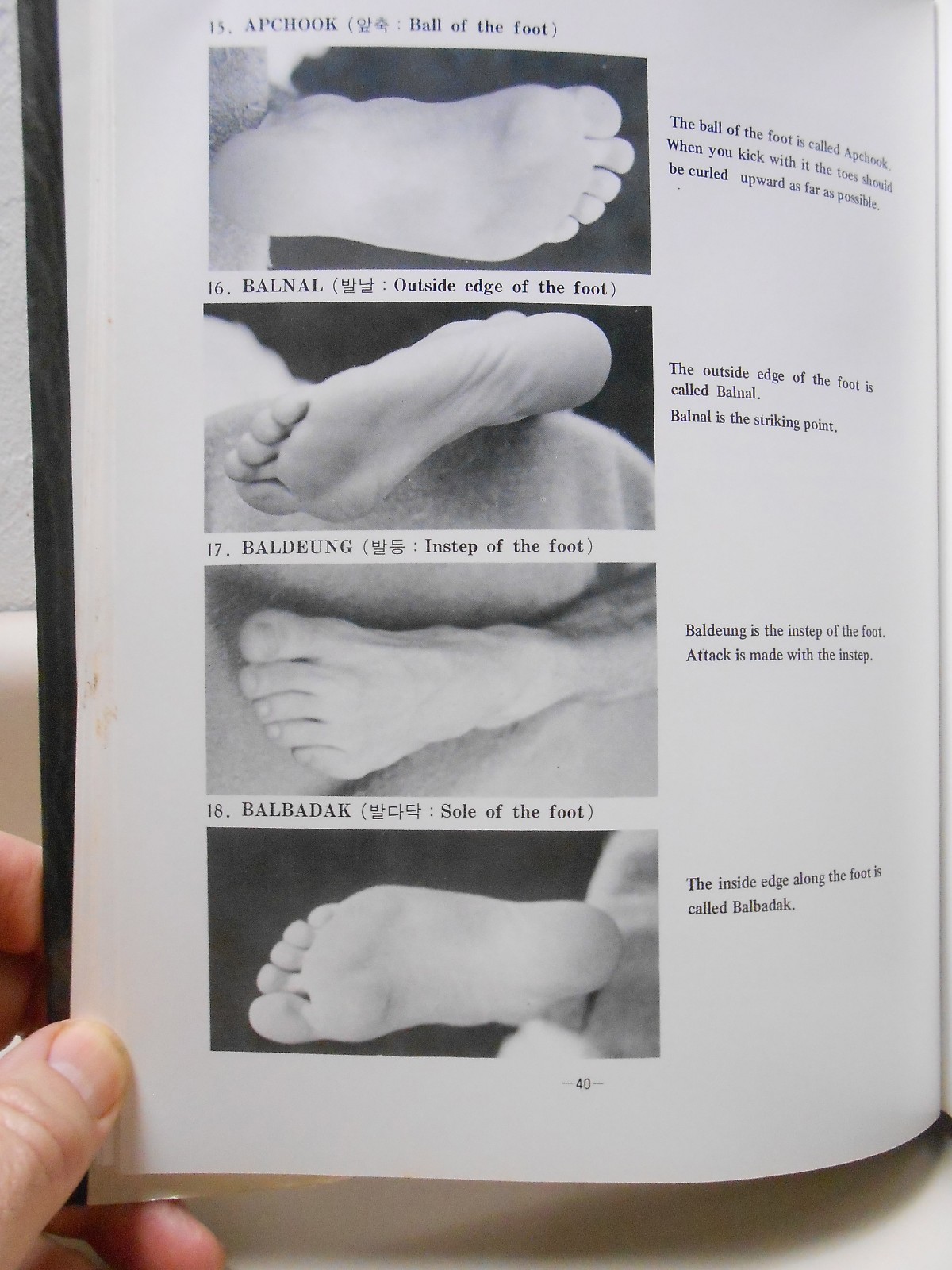 Tae Kwon Do Korean American Olympic Basics Poomse Taegeuk Palgwe Hardcover Book