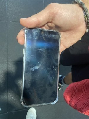 Photos de l'objet d'un acheteur vérifié