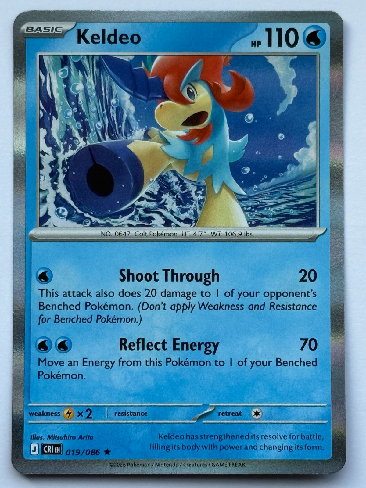 Keldeo 019/086 from Chaos Rising — Holo, seller photograph