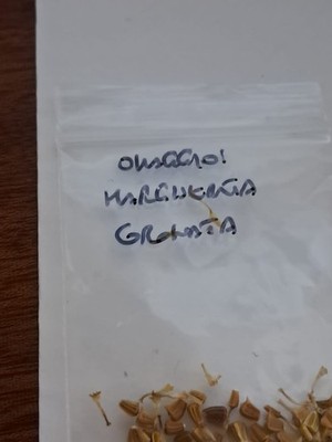 Foto dell'oggetto di un acquirente verificato