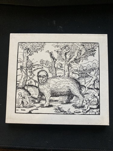 Envelopes - Demon (CD, 2005) Indie Rock/Indie Pop