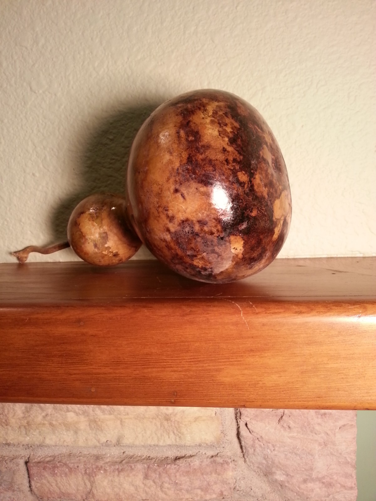 Birdhouse gourd for crafts Varnished, display, birdhouse