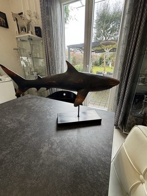 Deko Figur Shark Base 59cm Kare Design Unbeschädigt Dekorative Statur