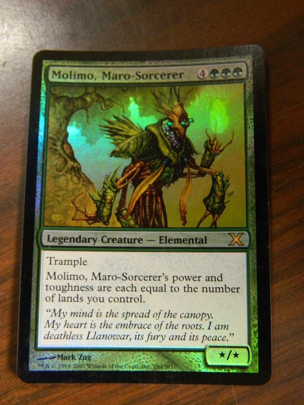 ウィン　MTG 森 ユーロランド フランス プロモ ウィン MTG 森 ユーロランド フランス プロモ ウィン MTG 森 ユーロ