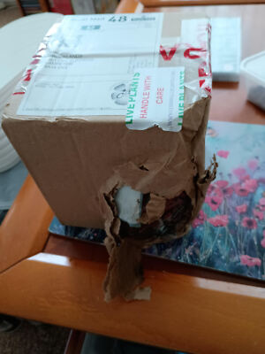 Item photo(s) from verified buyer