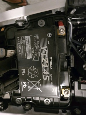 Fotos del artículo de un comprador verificado