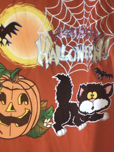 Vintg Time 2 Celebrate Halloween Cat Jack o'Lantern Spider Web T-Shirt 52