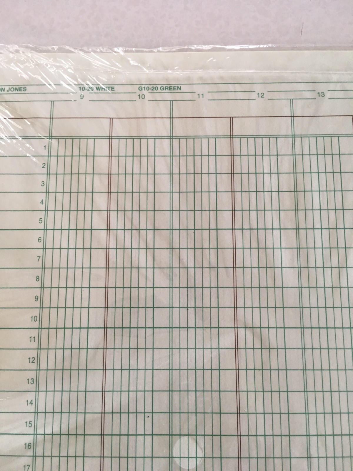 Wilson Jones Columnar Sheets 20 Columns /G10-20/ 41 sheets