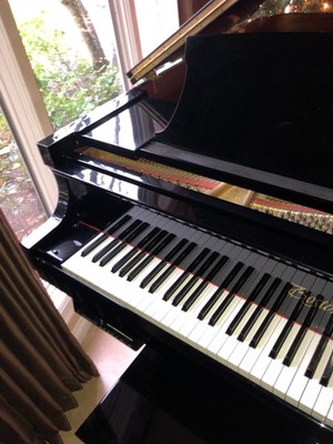 Boston Steinway  grand piano & Yamaha bench free pianodisc  self player !