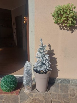 Foto dell'oggetto di un acquirente verificato