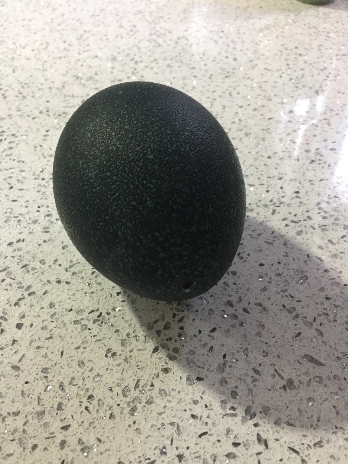 Emu egg: Emerald green; Blown out; Cleaned; Multiple for sale