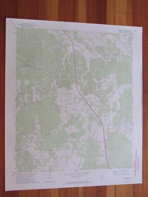 Pine Level Alabama 1974 Original Vintage USGS Topo Map