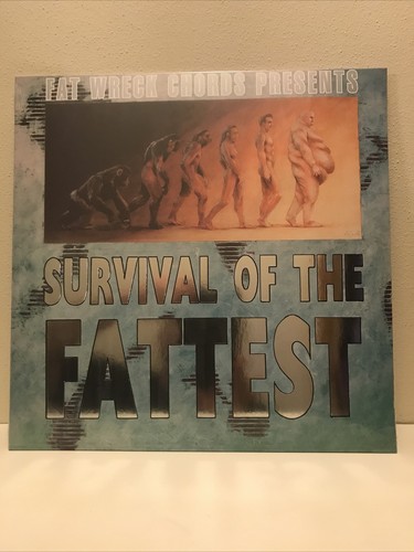Survival of the Fattest FAT music コンピ Survival of the