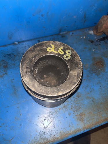 Ford 268 Turbo Diesel Piston & Rings