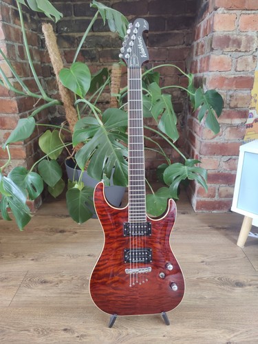 Washburn X-50 X Series Symour Duncan 搭載 Washburn X-50 X Series Symour Duncan 搭載 - メルカリ