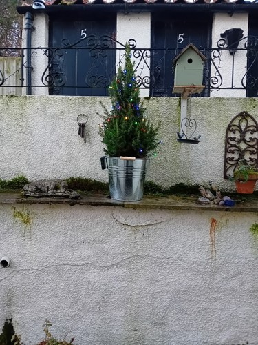 Artikelfoto(s) von einem verifizierten Käufer