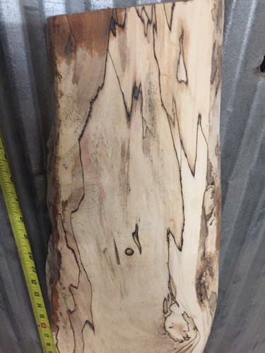 Spalted White Ash Kiln Dried Slab Live Edge Turning Blank Decorative Accent Wood