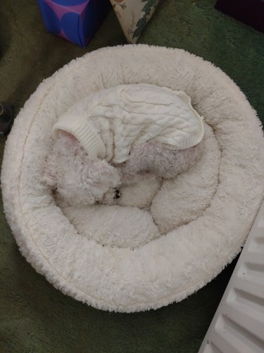 Artikelfoto(s) von einem verifizierten Käufer