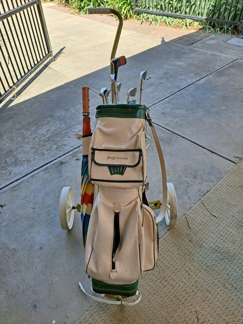 prosimmon golf buggy