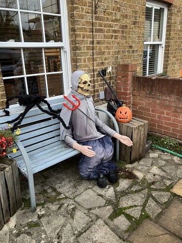 Artikelfoto(s) von einem verifizierten Käufer