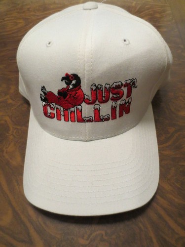 JUST CHILLIN PENGUIN PENGUINS HOCKEY WINTER NHL HAT ONE SIZE