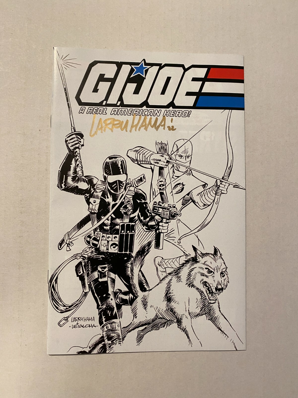 洋書 GI Joe: The Complete Story of America&#39;s Amazon | GI Joe: The Complete Story of America's Favorite