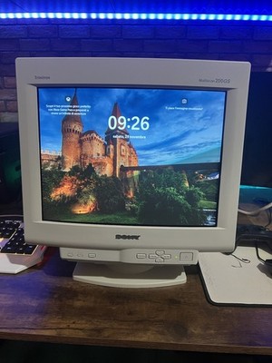 Foto dell'oggetto di un acquirente verificato