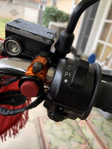 Foto dell'oggetto di un acquirente verificato